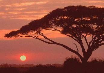 tramonto-africano.jpg
